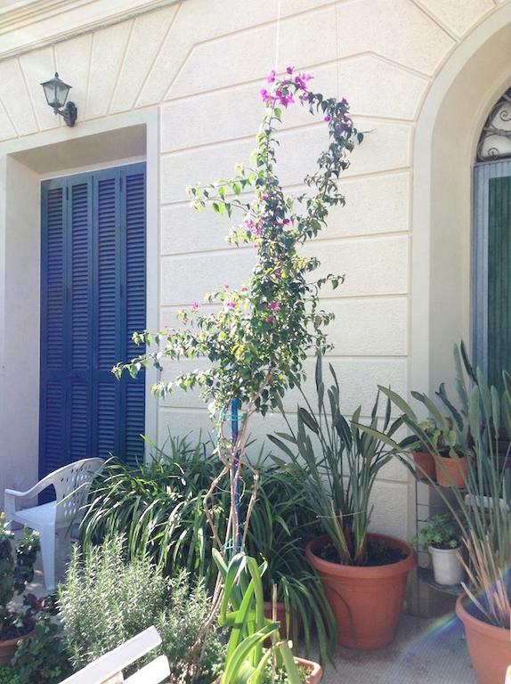 Casa Fornaciari Bed and Breakfast Βιαρέτζιο Εξωτερικό φωτογραφία